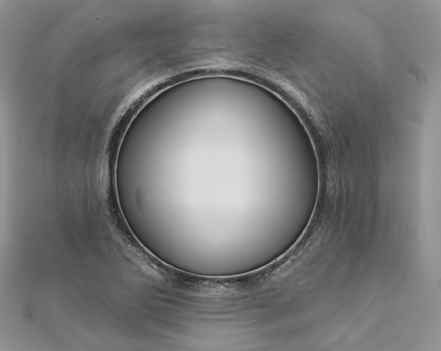 X0000112891270200909041654