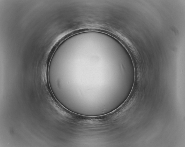 X0000112891272200909041654