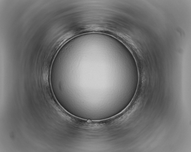 X0000112891273200909041654