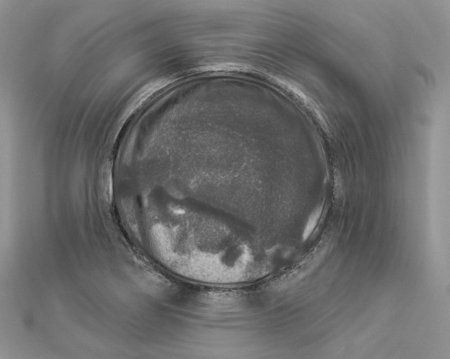 X0000112891274200909041654