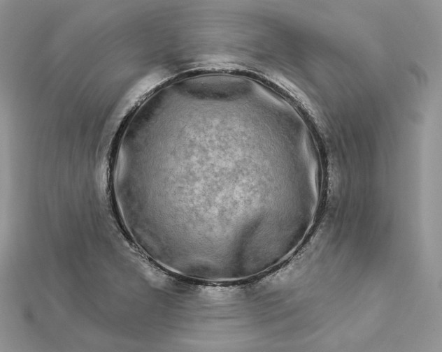X0000112891277200909041654