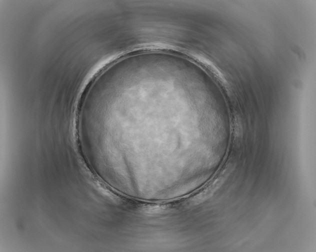 X0000112891278200909041654