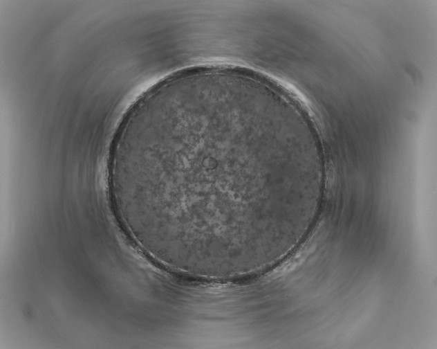 X0000112891279200909041654