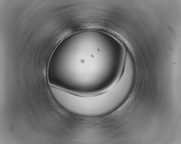 X0000112891281200909041654