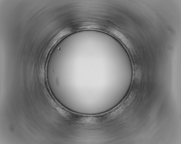 X0000112891282200909041654