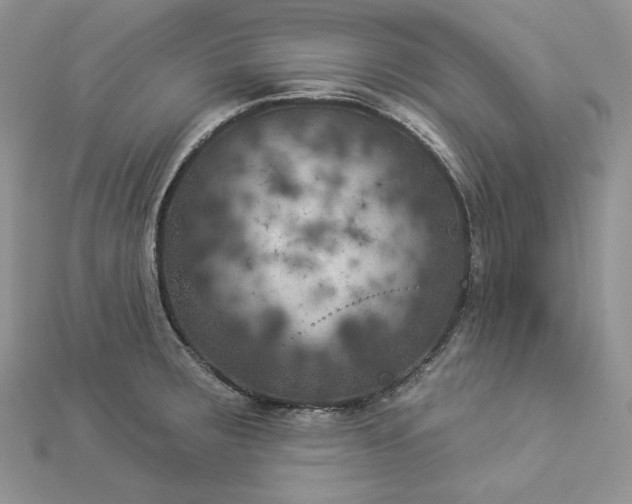 X0000112891283200909041654