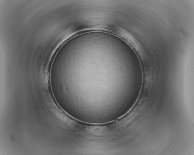 X0000112891284200909041654