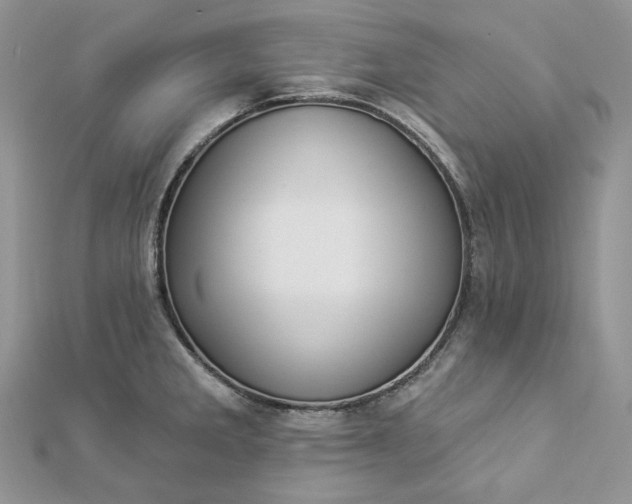 X0000112891285200909041654