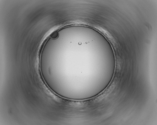 X0000112891286200909041654
