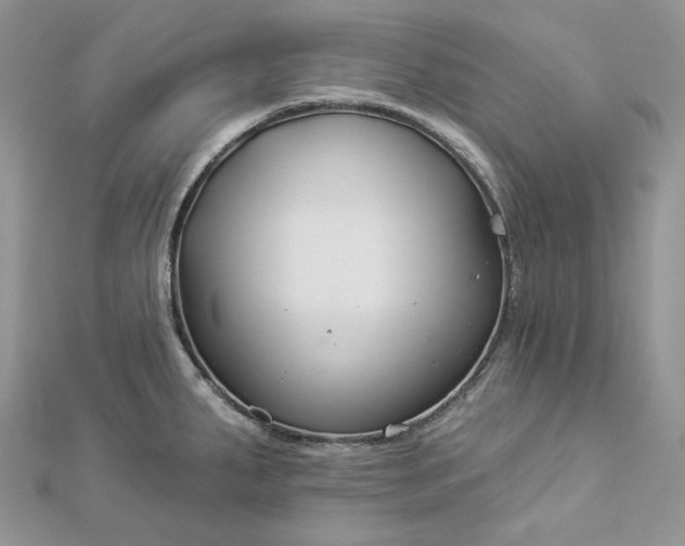 X0000112891287200909041654