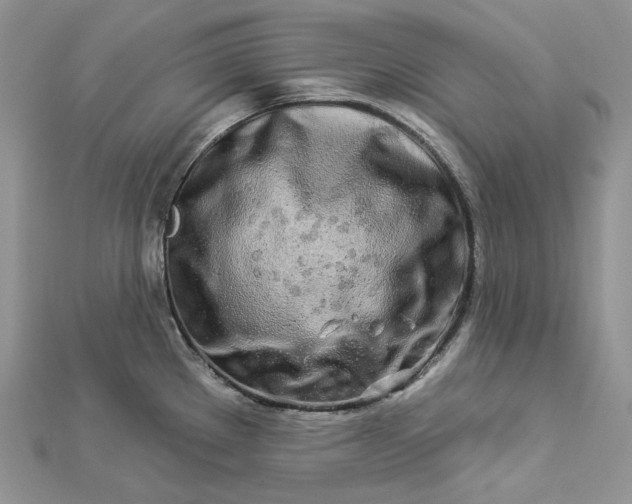 X0000112891289200909041654