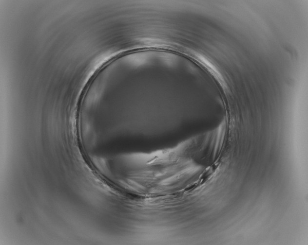 X0000112891291200909041654