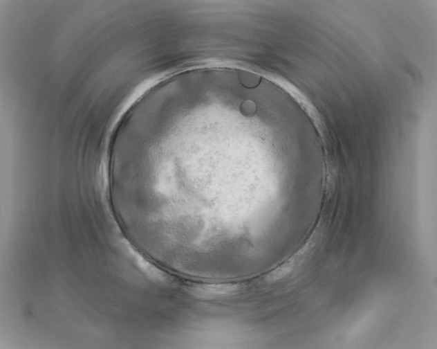 X0000112891294200909041654