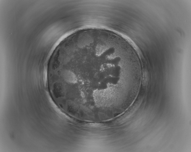 X0000112891295200909041654