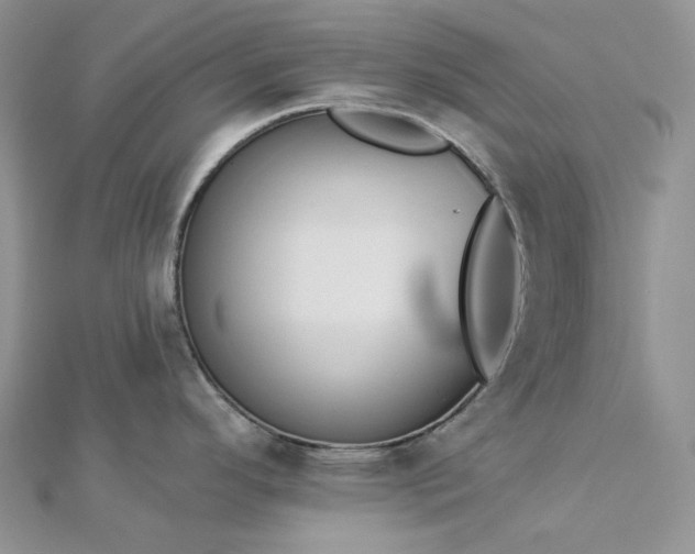 X0000112891296200909041654