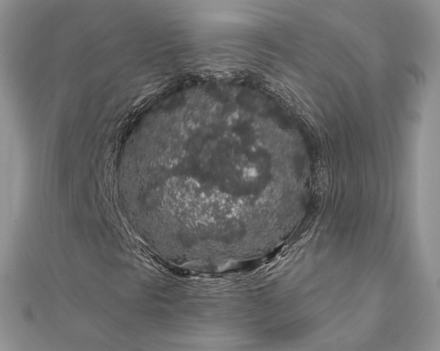 X0000112891297200909041653