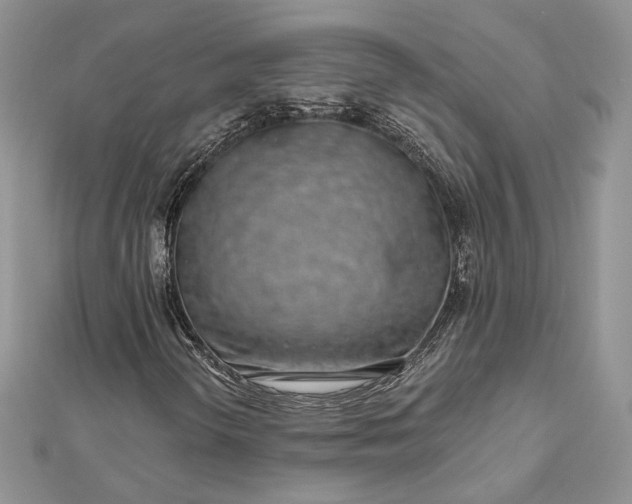 X0000112891298200909041653