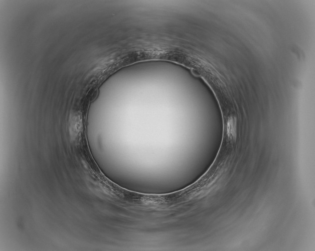 X0000112891299200909041653
