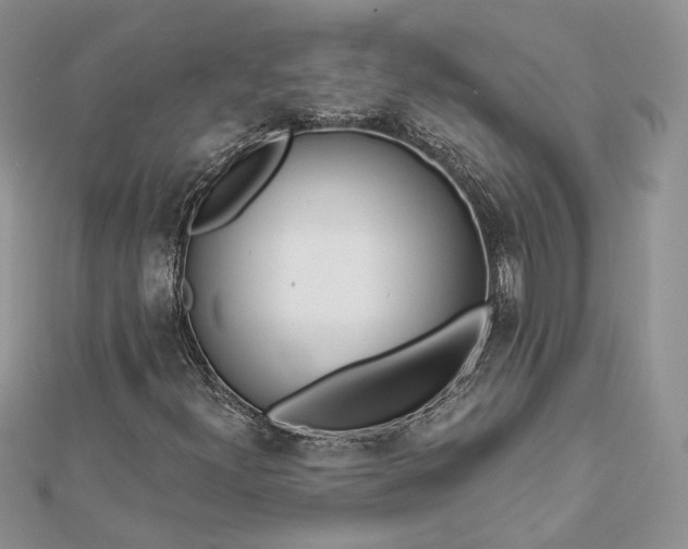 X0000112891300200909041653