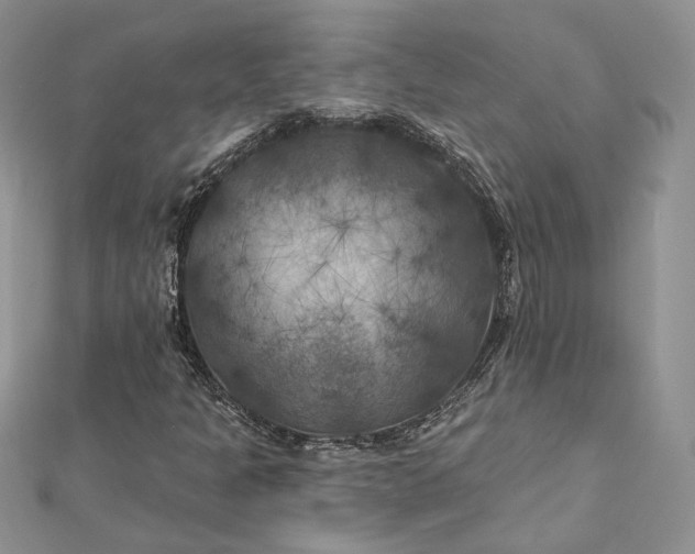 X0000112891301200909041653