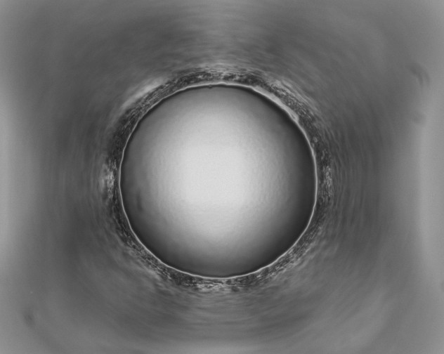 X0000112891302200909041653