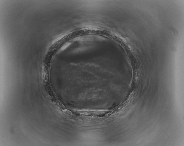 X0000112891303200909041653