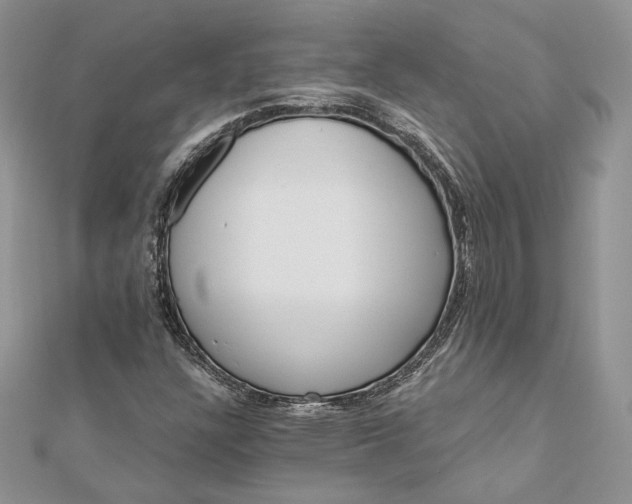 X0000112891304200909041653