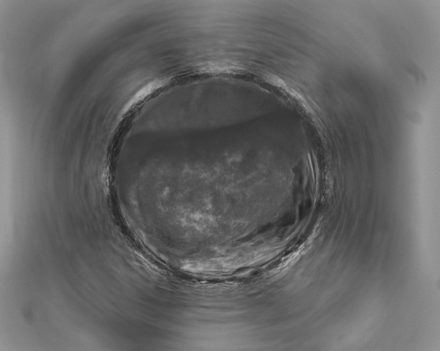 X0000112891306200909041653