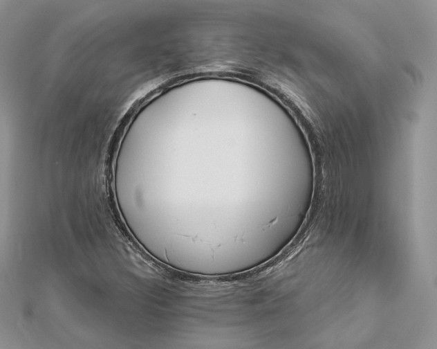 X0000112891308200909041653
