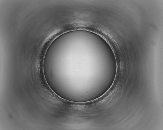 X0000112891309200909041653