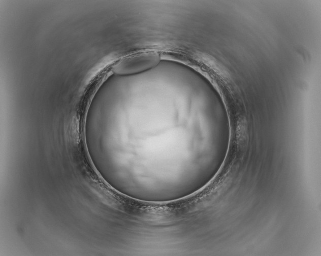 X0000112891310200909041653