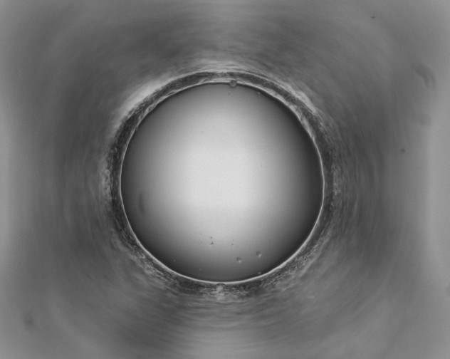 X0000112891311200909041653