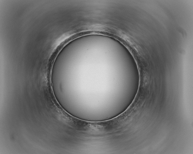 X0000112891312200909041653