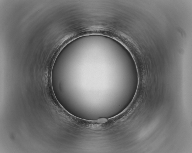 X0000112891313200909041653