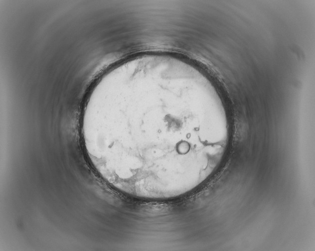 X0000112891314200909041653