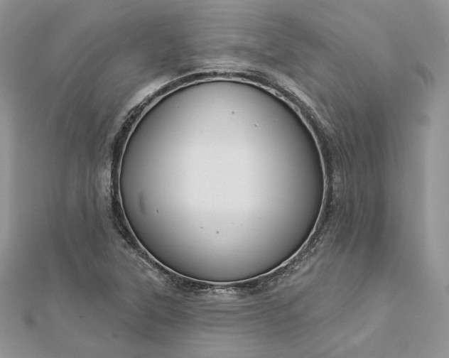 X0000112891315200909041653