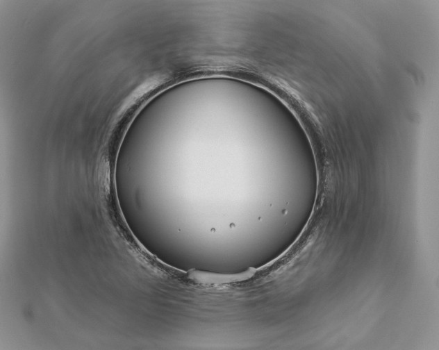 X0000112891317200909041653