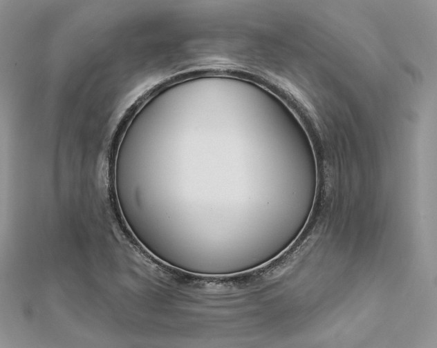 X0000112891318200909041653