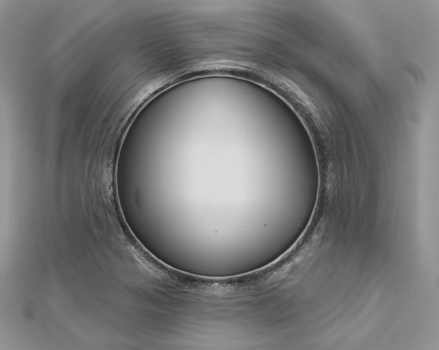 X0000112891321200909041653