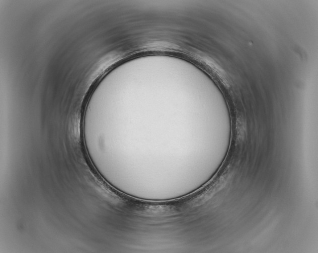 X0000112891322200909041653