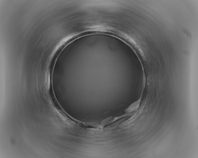 X0000112891323200909041653