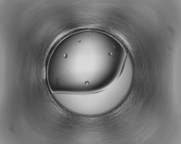 X0000112891324200909041654