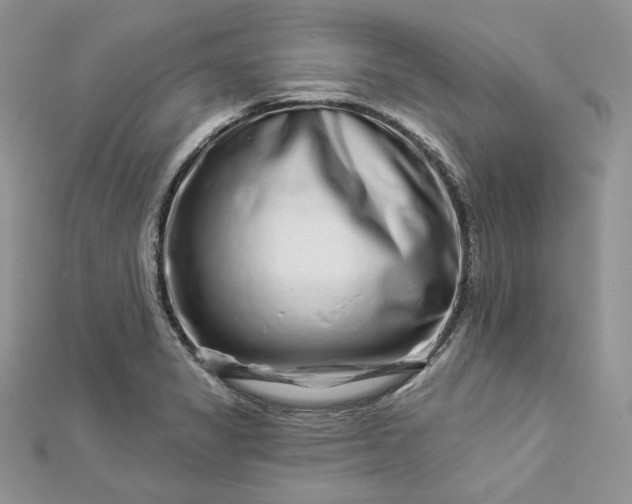 X0000112891325200909041654