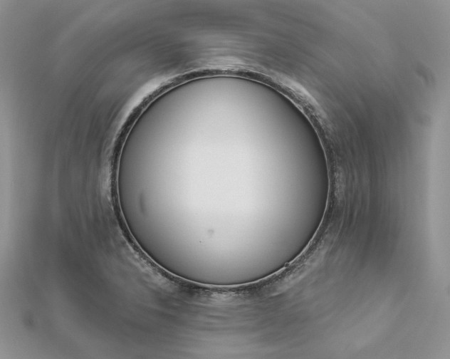 X0000112891326200909041654