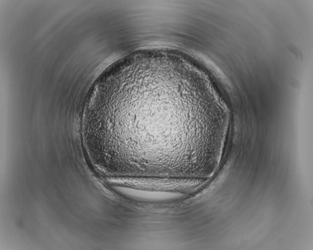 X0000112891329200909041654