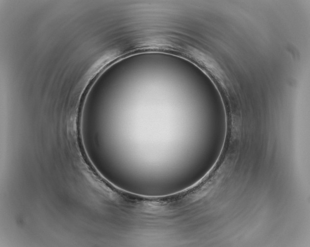 X0000112891330200909041654