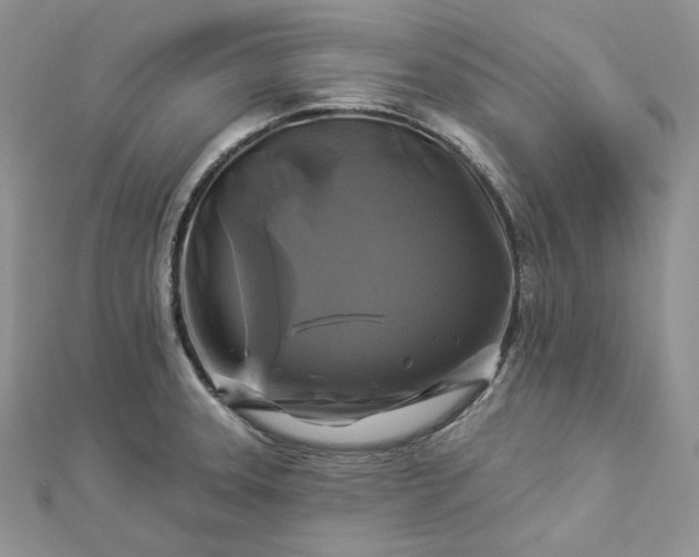 X0000112891331200909041654