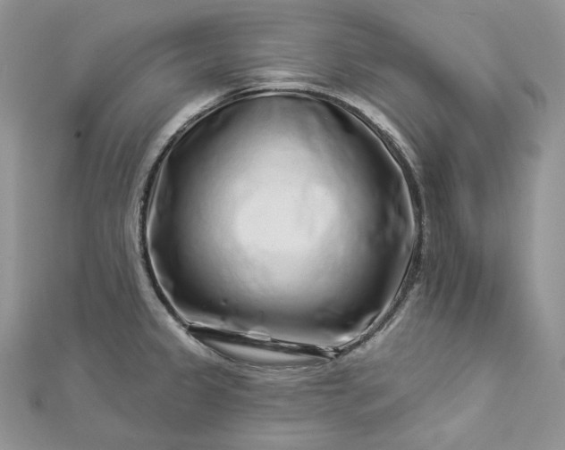 X0000112891333200909041654