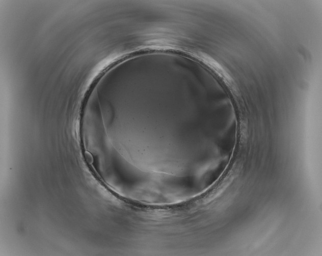 X0000112891334200909041654