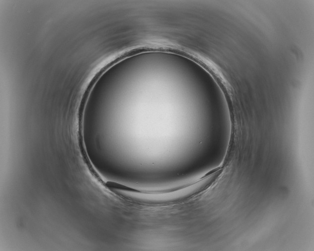 X0000112891335200909041654